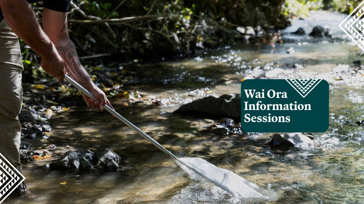 Wai Ora Info Session 8 Dec 2025